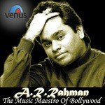 A.R. Rehman The Music Meastro Of Bollywood - A.R. Rahman Song Download